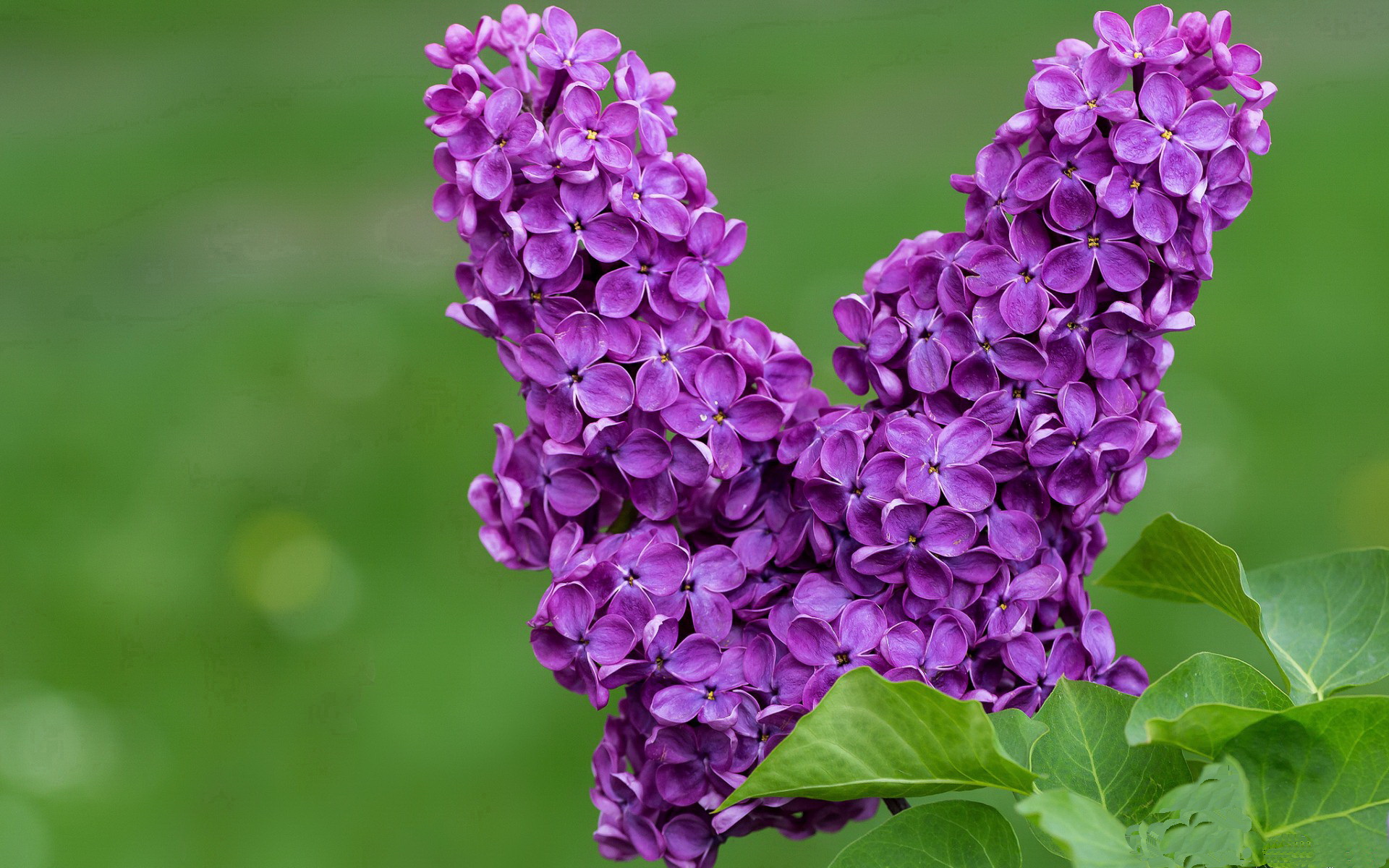穆里尼奥送祝福前弟子晋升主帅,穆里尼奥任教